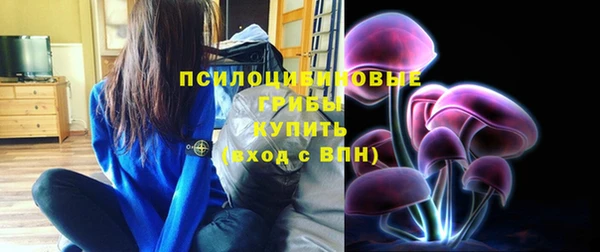 шишки Алзамай
