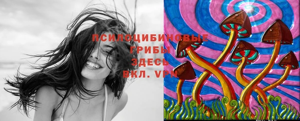 бошки Абдулино