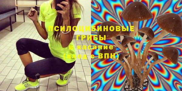бошки Абдулино