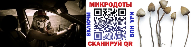 гидра   Жердевка  Галлюциногенные грибы Cubensis 